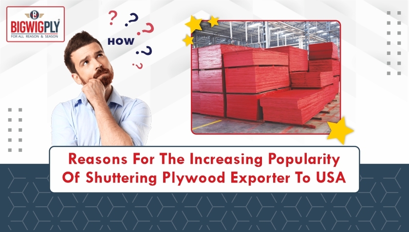 Shuttering Plywood Exporter to USA
