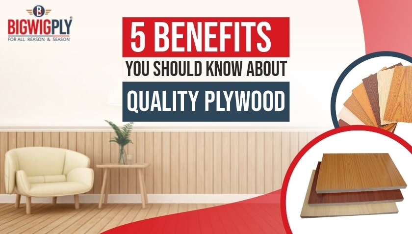 5 Benefits You Should Know About Quality Plywood 